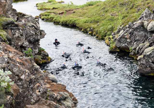 Tauchen in der Silfra Spalte im Þingvellir-Nationalpark